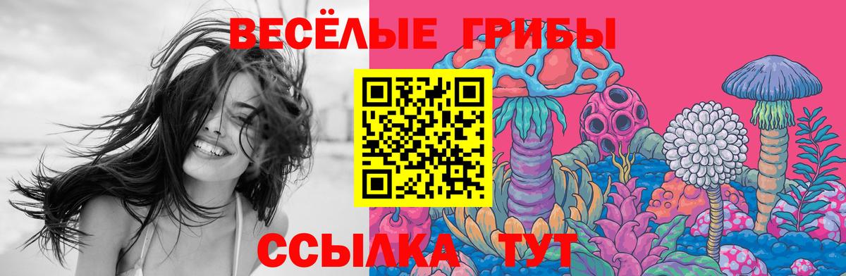 Псилоцибиновые грибы мицелий  Вход с VPN  даркнет сайт  Тайшет 